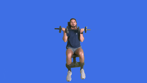 quivon_app giphyupload GIF