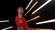 Germany No GIF by Bundesliga
