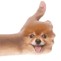 Dog Yes Sticker by Puppies Make Me Happy