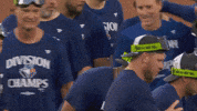 Blue Jays Baseball GIF by Toronto Blue Jays