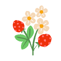siankeegan summer flower spring fruit Sticker