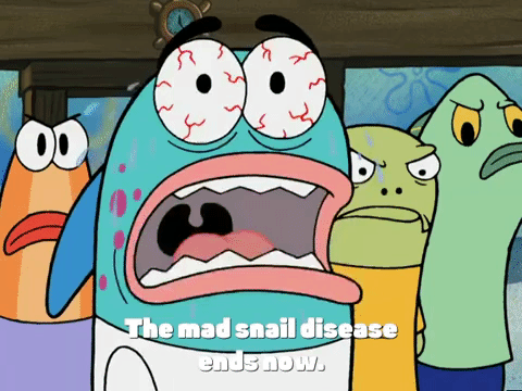 season 4 episode 13 GIF by SpongeBob SquarePants