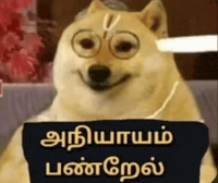 Dog Tamil GIF