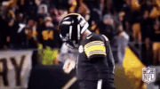 Pittsburgh Steelers Football GIF by NFL
