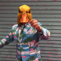 ingo-ohne-flamingo weekend you party time party hard GIF