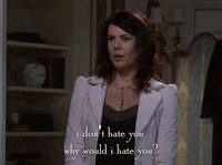 season 6 netflix GIF by Gilmore Girls 