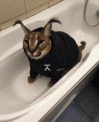 AzuraXYZ azura azuraxyz GIF