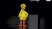 waving big bird GIF