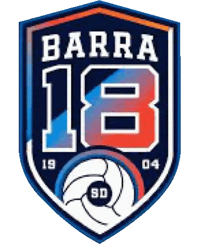 Sdfc Sticker by SMILE spirits