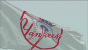 Baseball Waving GIF by YES Network