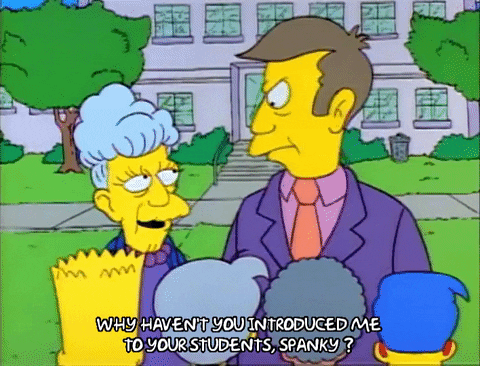 Season 1 GIF by The Simpsons