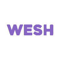 laureen_oldham purple wesh wech wechpurple Sticker