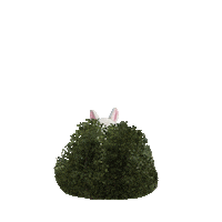 Bdo Sticker by BlackDesert