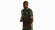 Portland Timbers Mls GIF by Timbers