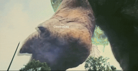 d4b123123r32513244 giphyupload GIF