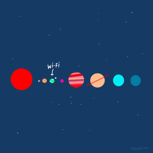 Space Fox GIF by Animation Domination High-Def