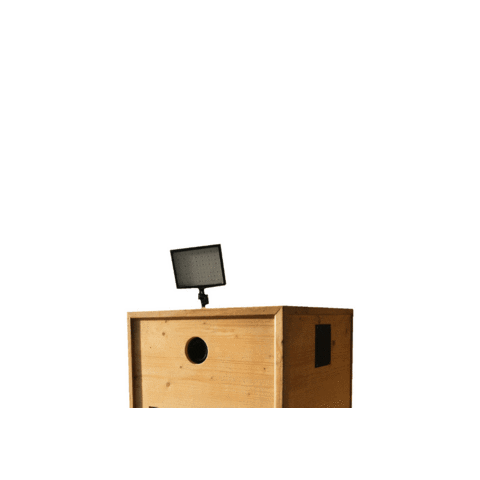 smilecab giphygifmaker Sticker