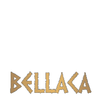 Bellaca Sticker by DIANA K