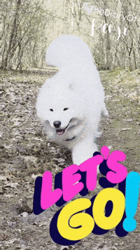 Leave Go GIF
