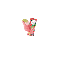 Haagendazshk ice cream strawberry y2k green tea Sticker