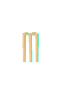 SportEx cricket ipl sportex Sticker