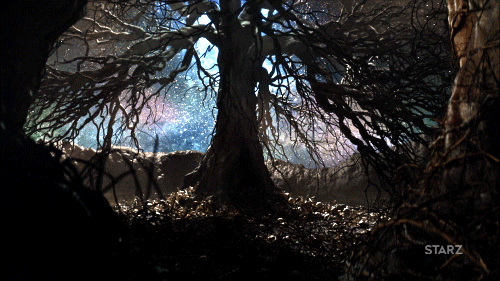 Season 1 Tree GIF by American Gods