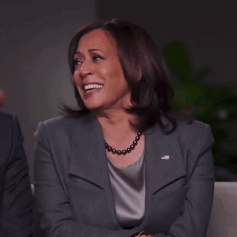 Kamala Harris Smile GIF by The Democrats