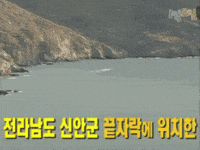 Jamchilla GIF