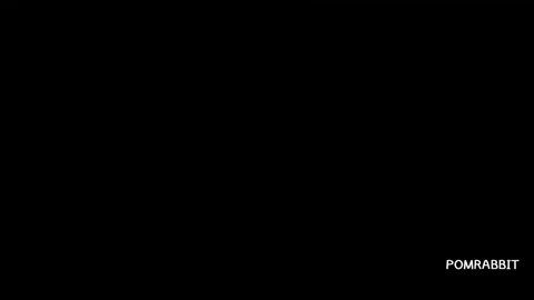 ポンラビット giphyアップロード GIF