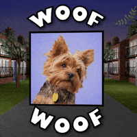 Love Dogs Dog GIF