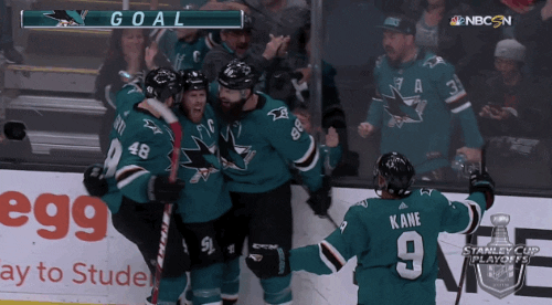 ice hockey sport GIF by NHL