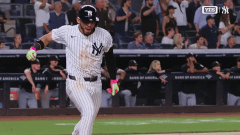 New York Yankees Win GIF by MLB