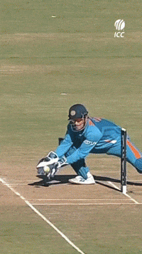 Chennai Super Kings Csk GIF