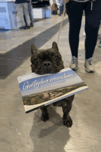 GIF by Hessisches Kegelspiel