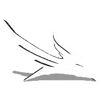 robert falcon bird Sticker