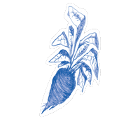Fehmarn Sticker by fehmarndestillerie
