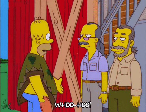 homer simpson episode 6 GIF