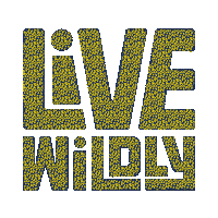 Florida Sticker by LiveWildlyFL