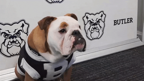 Happy Hi 5 GIF by Butler University - Find & Share on GIPHY