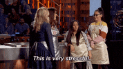 masterchef fox foxtv masterchef gordon ramsay GIF