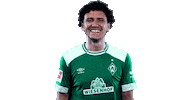 football wave Sticker by SV Werder Bremen