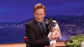 andy richter conan obrien GIF by Team Coco
