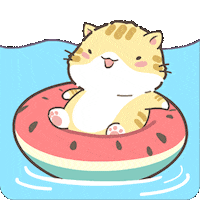 Cat Play GIF