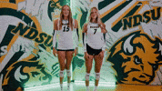 Volleyball Bison GIF by NDSU Athletics