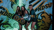Volleyball Bison GIF by NDSU Athletics