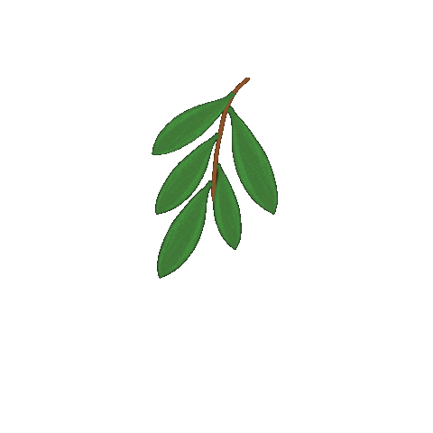 Plant Leaves Sticker