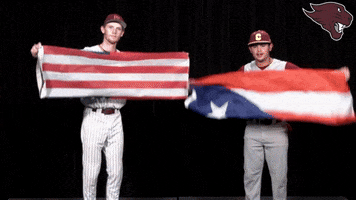 Baseball GIF by CUCougars