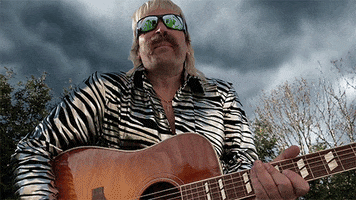 Jimmy Fallon Lol GIF by The Tonight Show Starring Jimmy Fallon