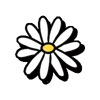 Flower Daisy Sticker