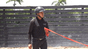 Eye Candy Horse GIF by Eye Candy Jumpers